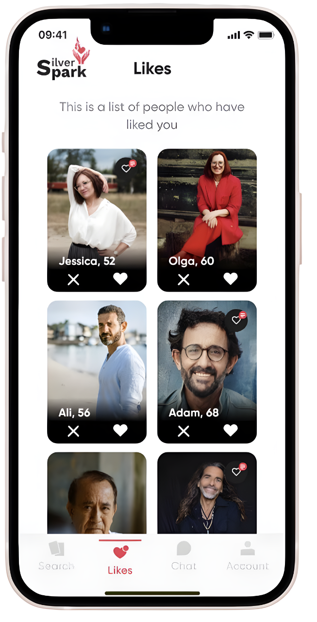 SilverSpark overview